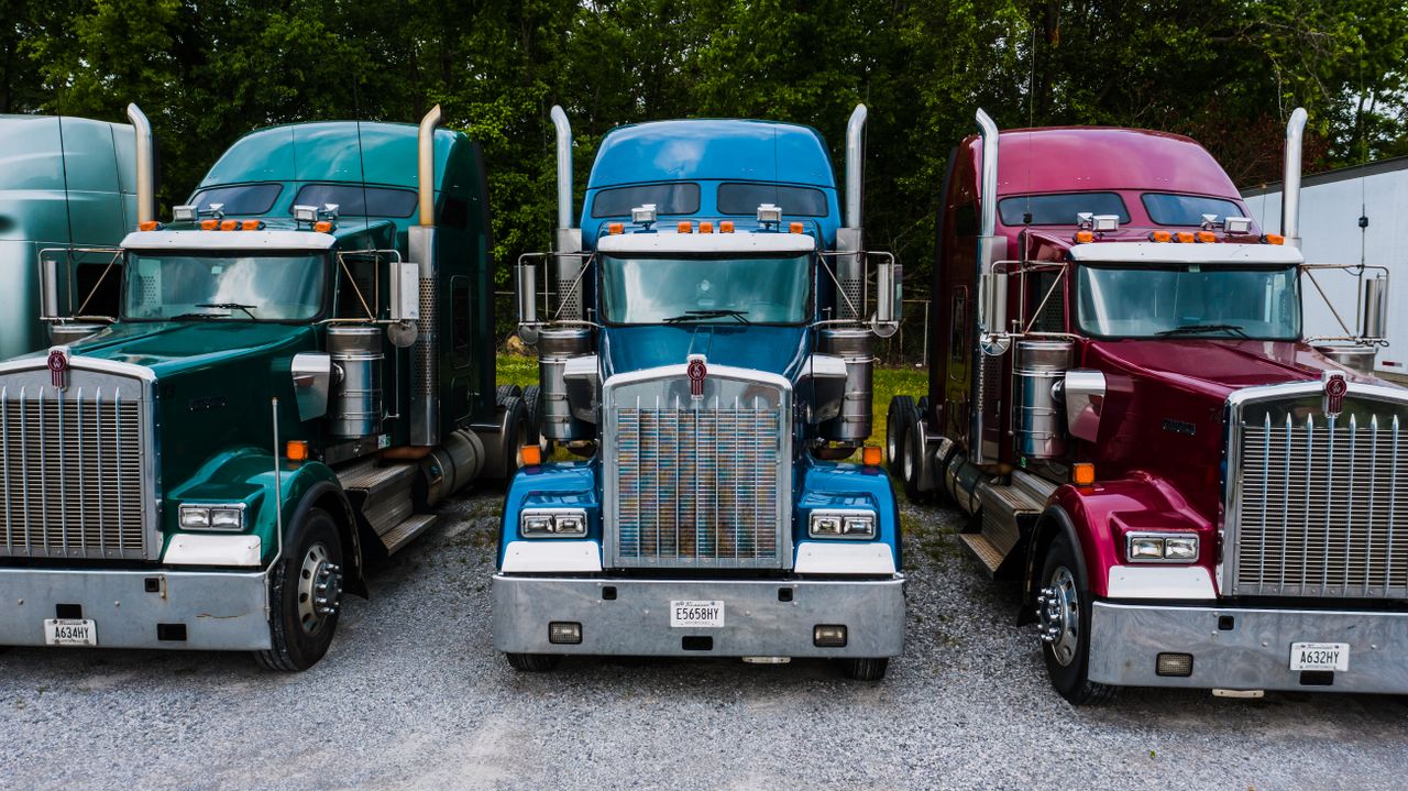 Vintage classic trucks of different colors parked in row on asphalt road against green trees
